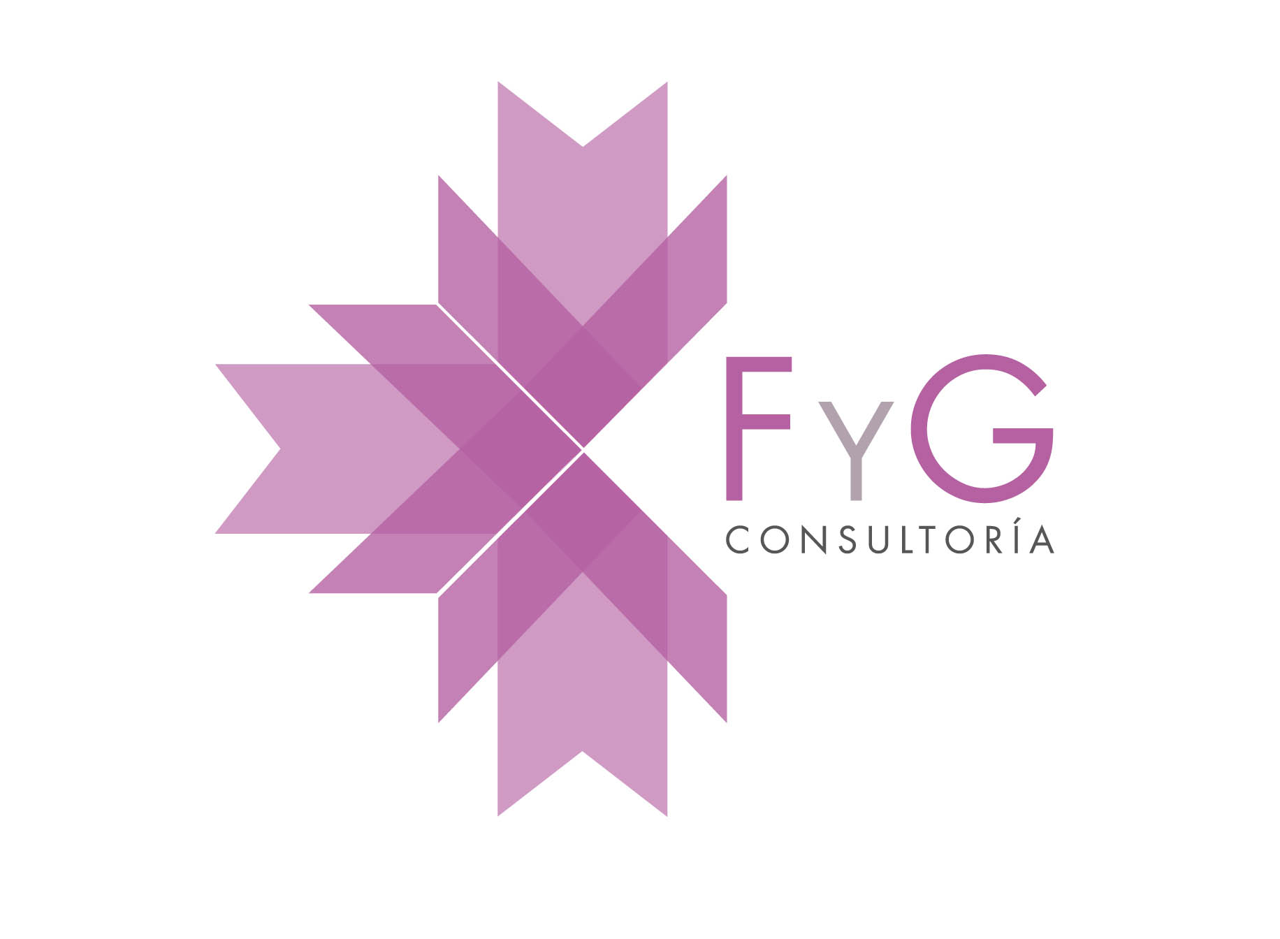 fygconsultora