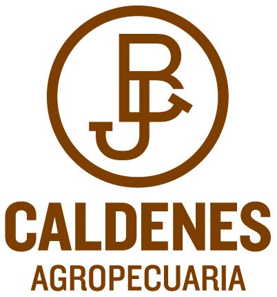 ucaecono_caldenessa