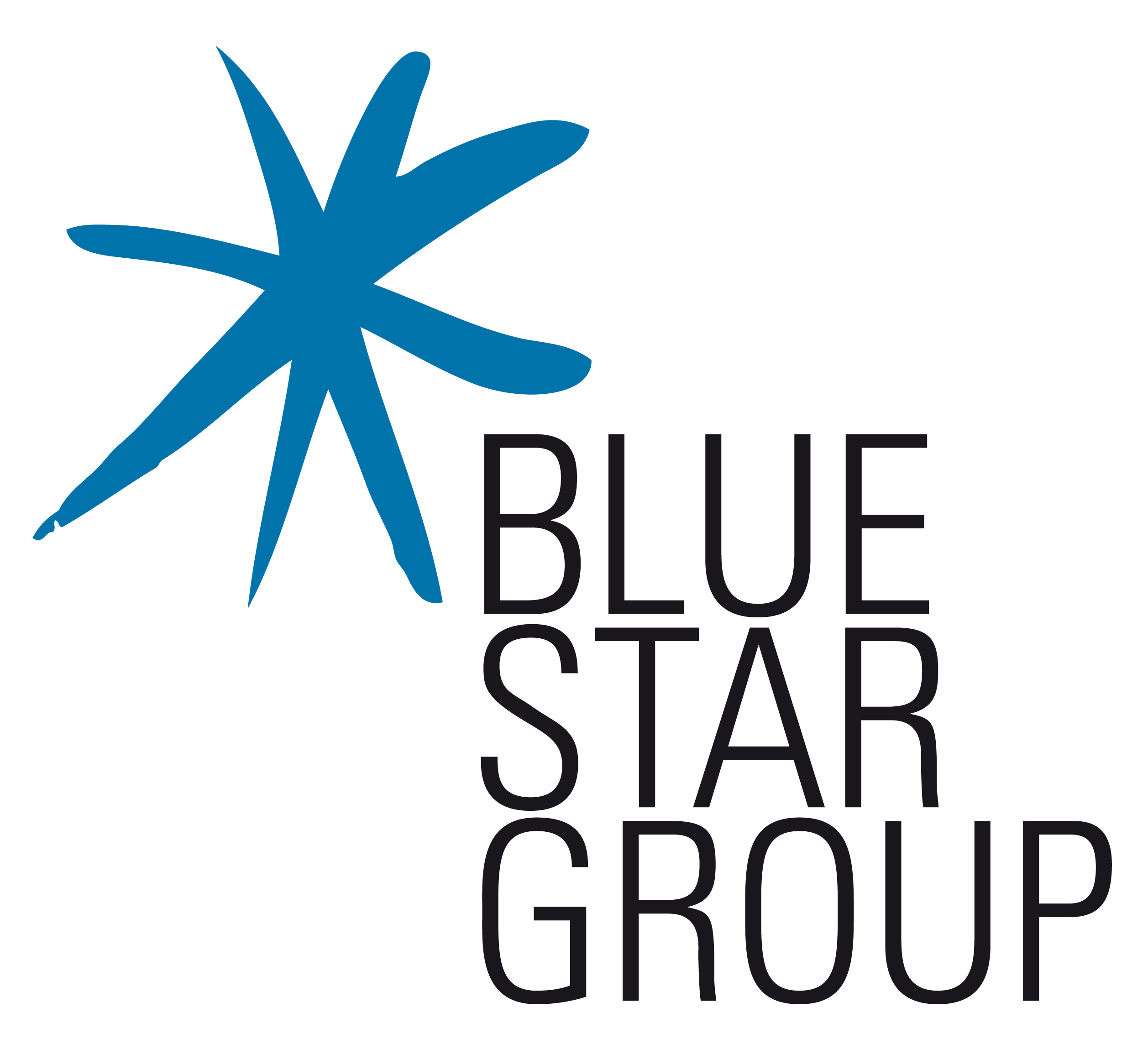 ucaecono_bluestargroup