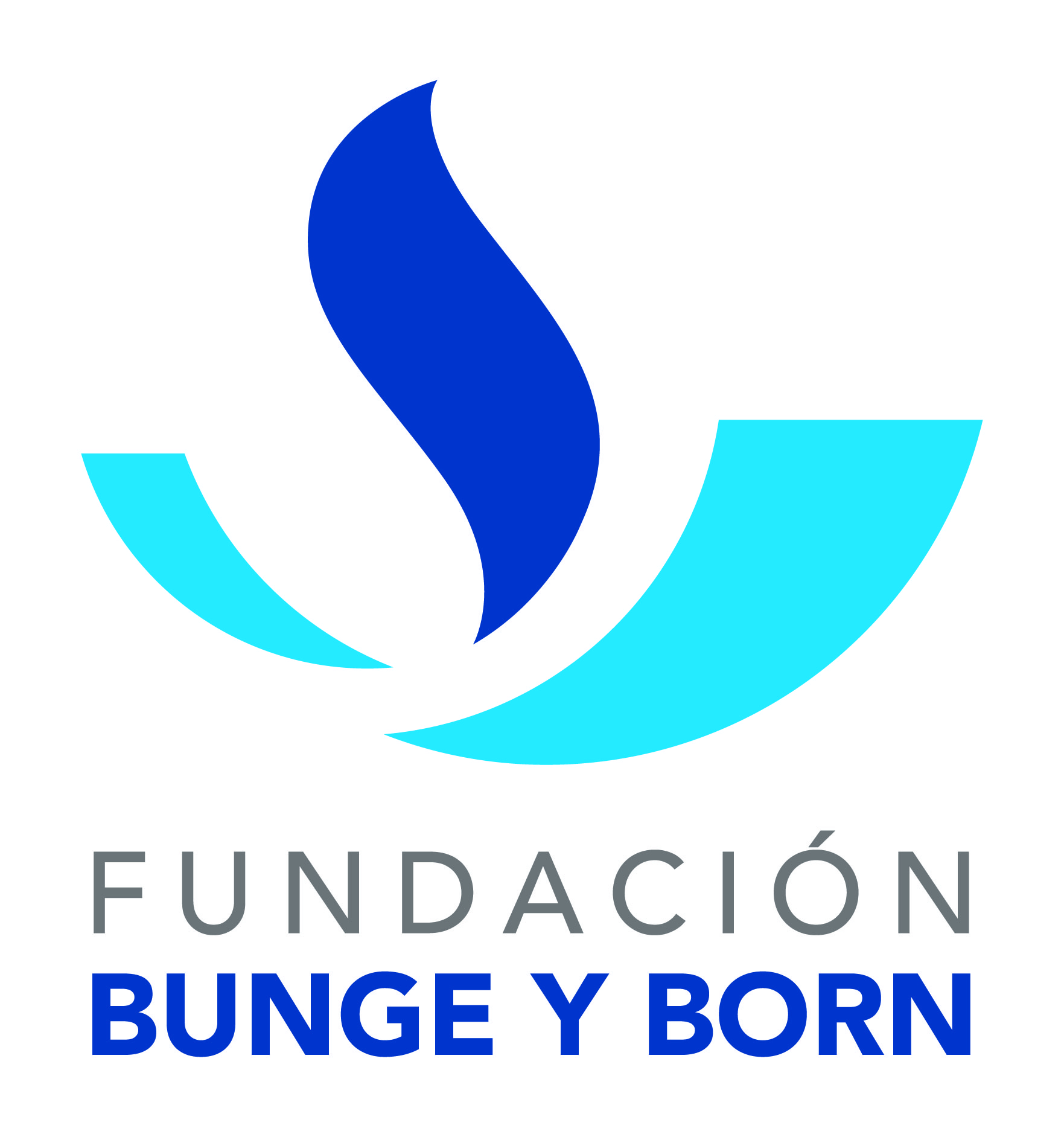 ucaecono_fundacinbungeyborn