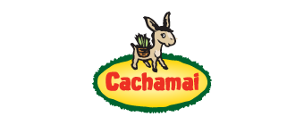 ucaecono_cachamai