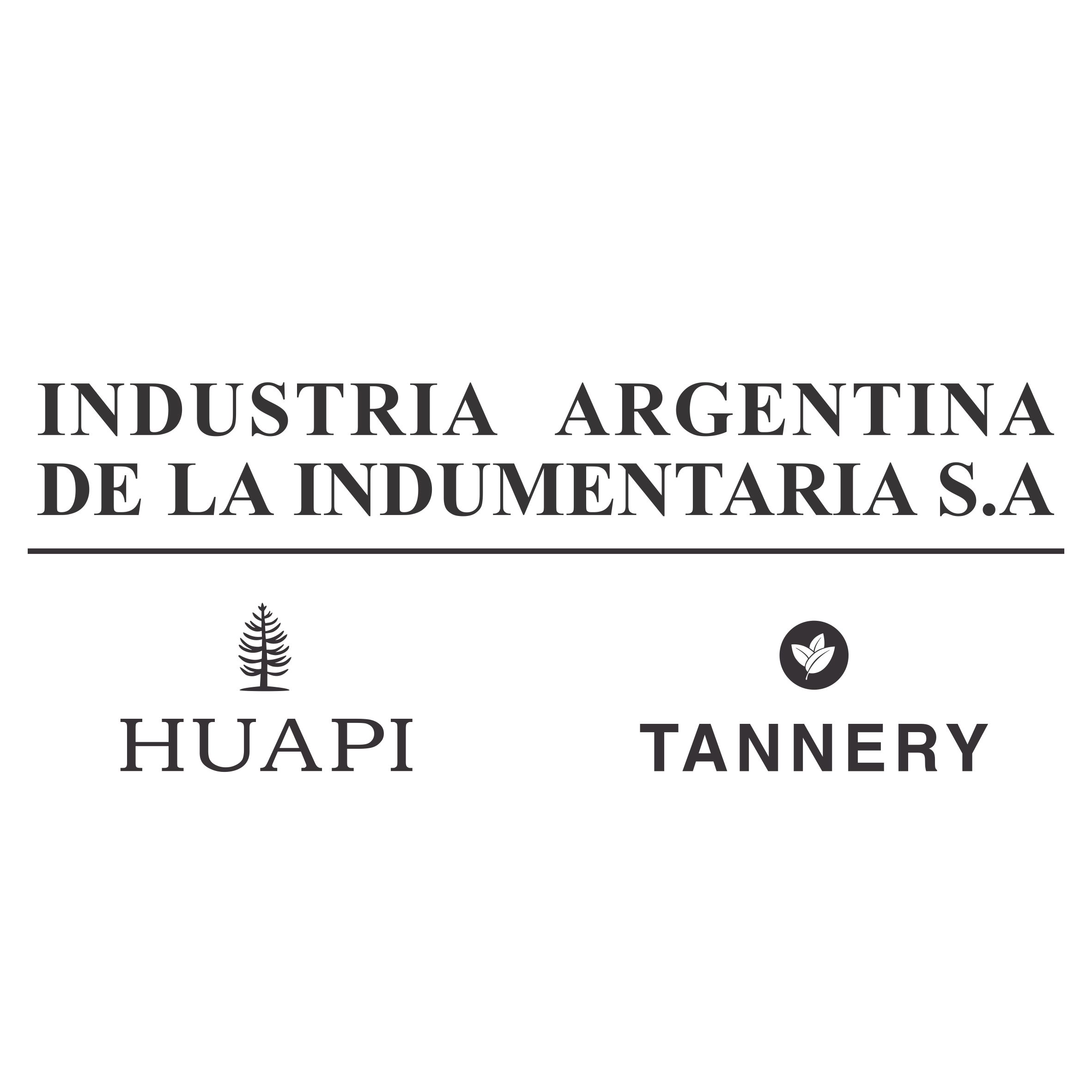 ucaecono_industriaargentinadelaindumentariasa